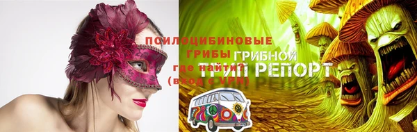 соль ск Алексин