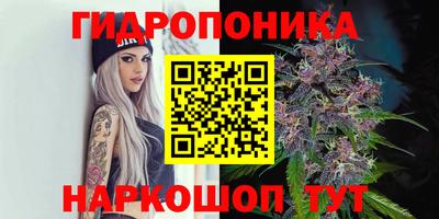 apvp Новокубанск