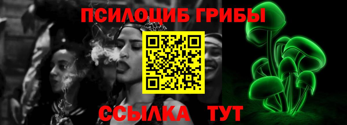 Псилоцибиновые грибы Psilocybe Арзамас
